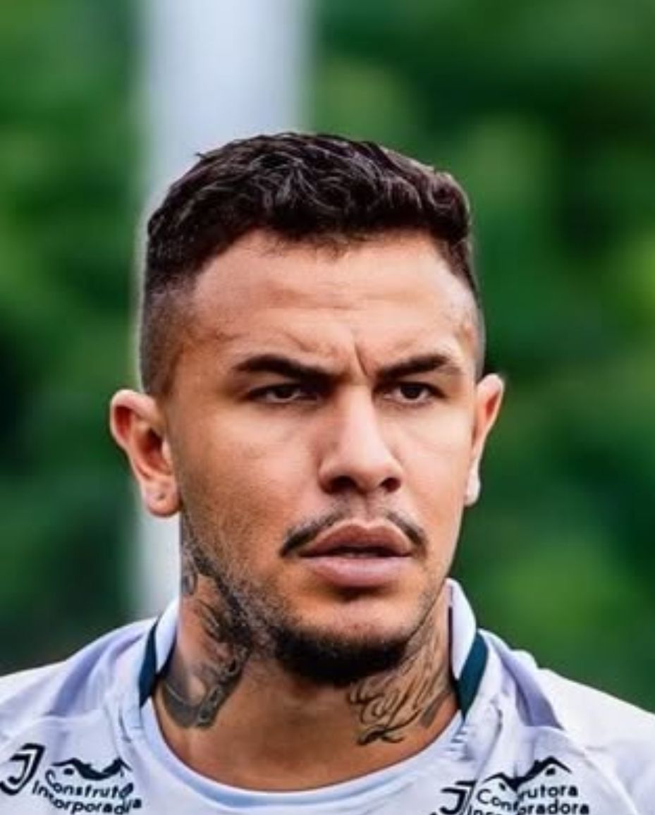 LUIZ FELIPE DARTORA CARDOSO