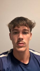 henry luiz franceschini