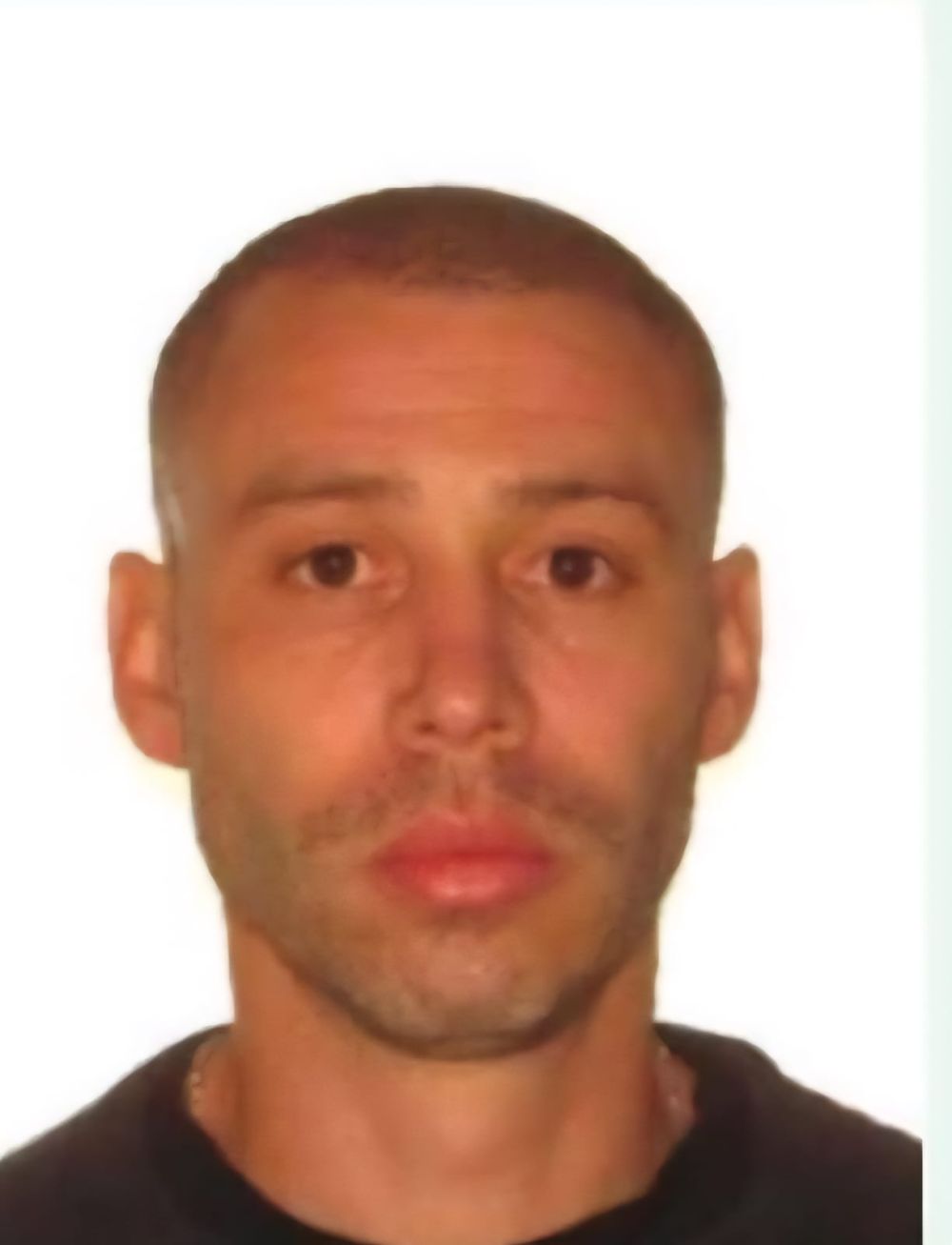 DAVI WOLFF MOURA