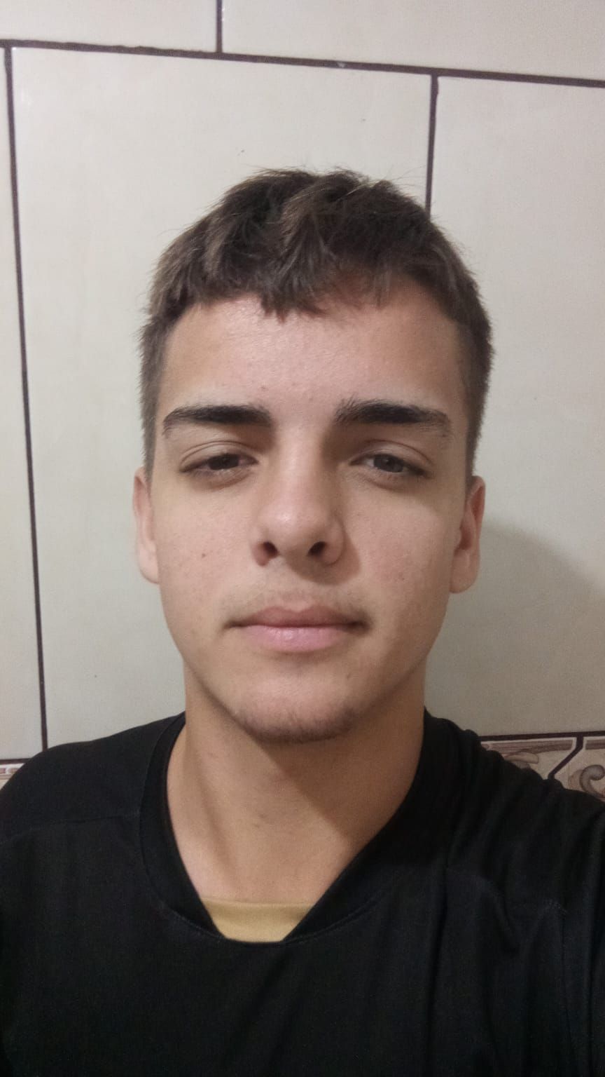 Tiago Vinicius Bohn