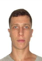 ARTHUR LUIS BRAUN