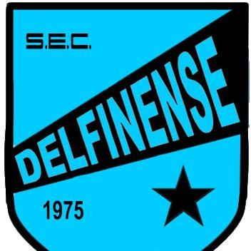 S. E. C. DELFINENSE